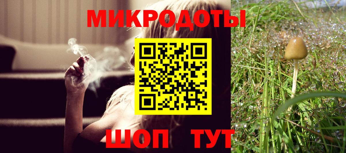 Псилоцибиновые грибы Psilocybine cubensis Владивосток
