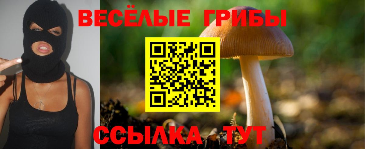 Владивосток  Псилоцибиновые грибы Cubensis  Галлюциногенные грибы мицелий  Вход с VPN 
